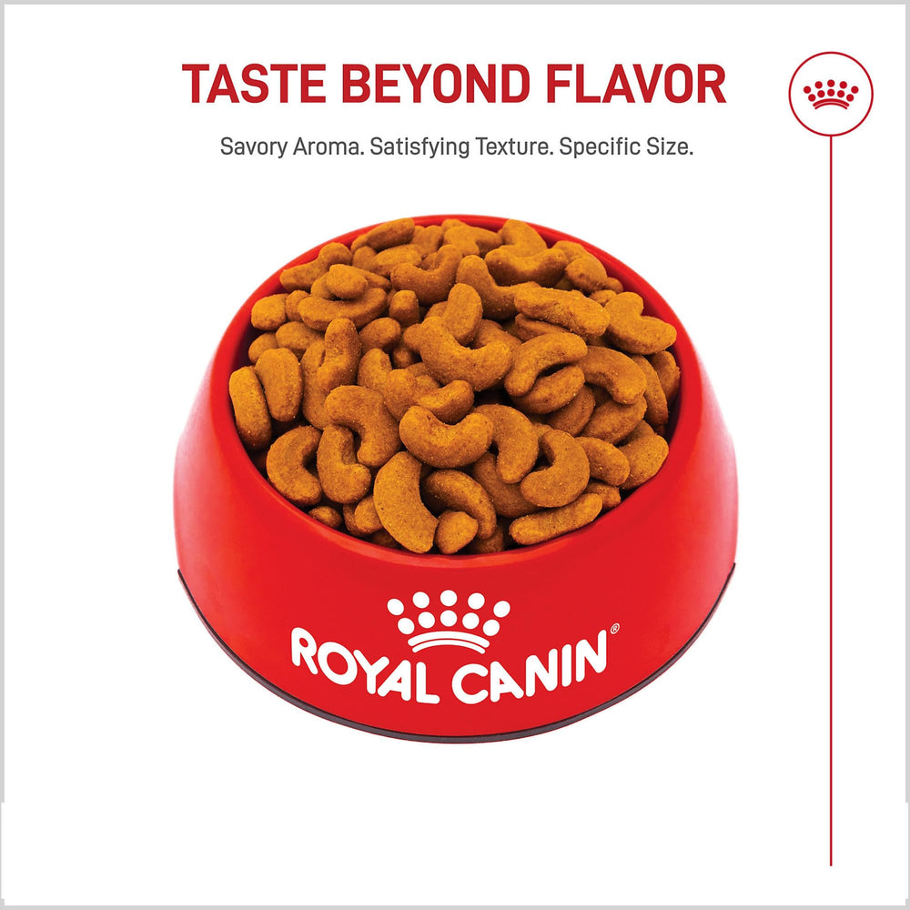 ROYAL CANIN detalle de la forma de la croqueta adaptada al hocico corto