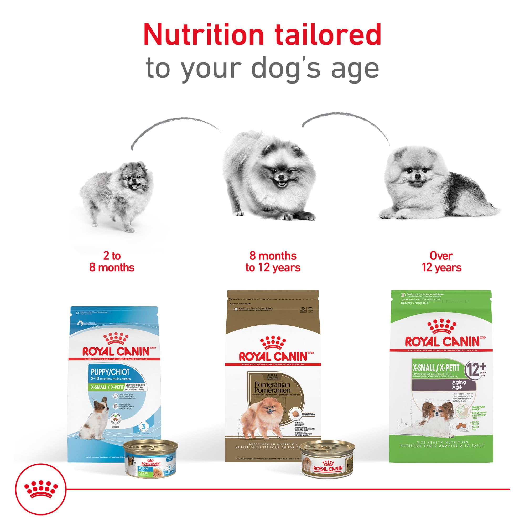 ROYAL CANIN comparación de tamaño de croqueta con una moneda para escala
