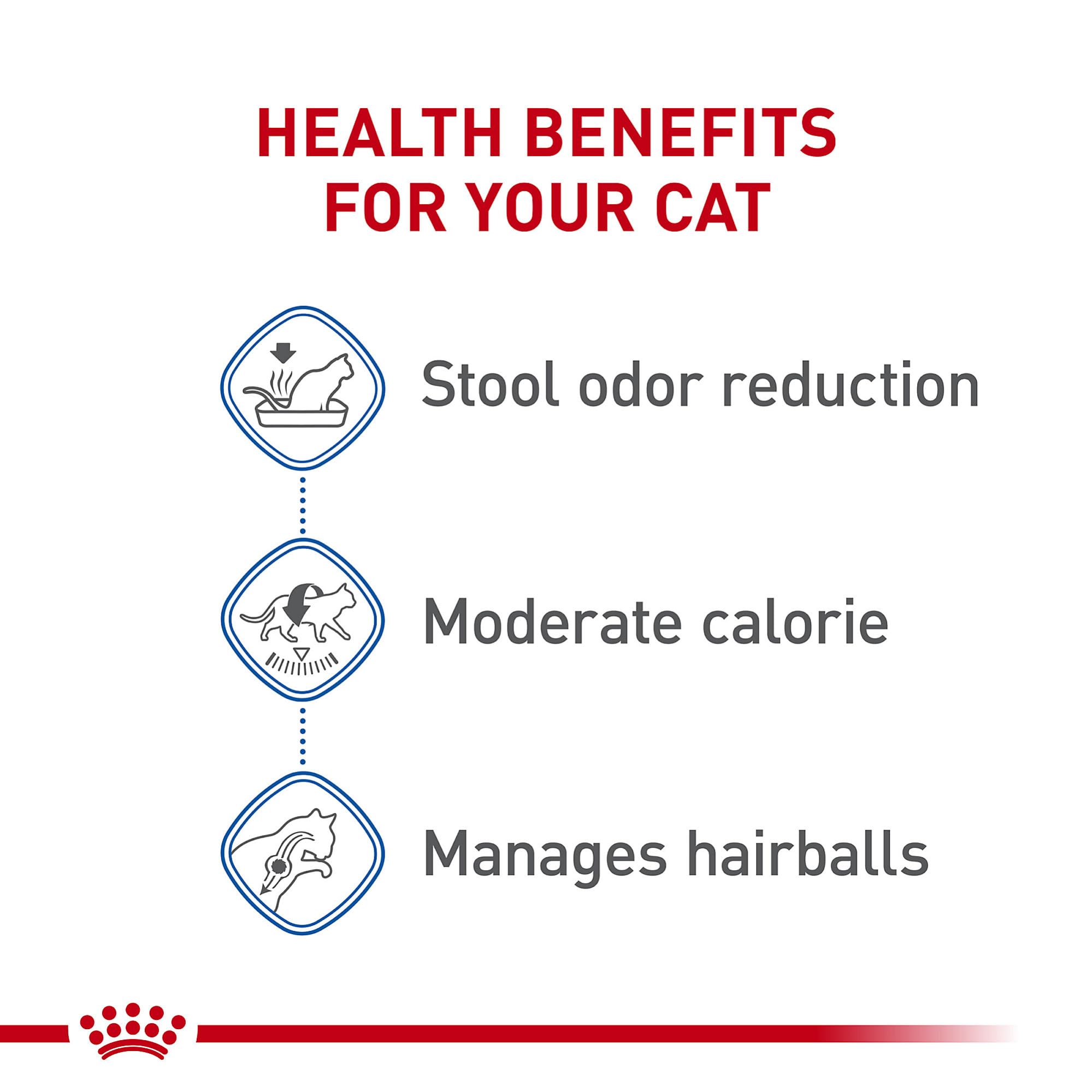 ROYAL CANIN porción servida en plato para digestión óptima y control de calorías