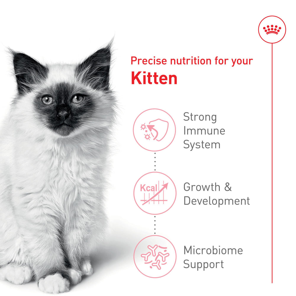 Royal Canin zoom en kibble que resalta forma y digestibilidad para gatitos