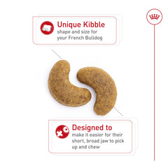 ROYAL CANIN primer plano de la croqueta curvada que facilita la ingesta