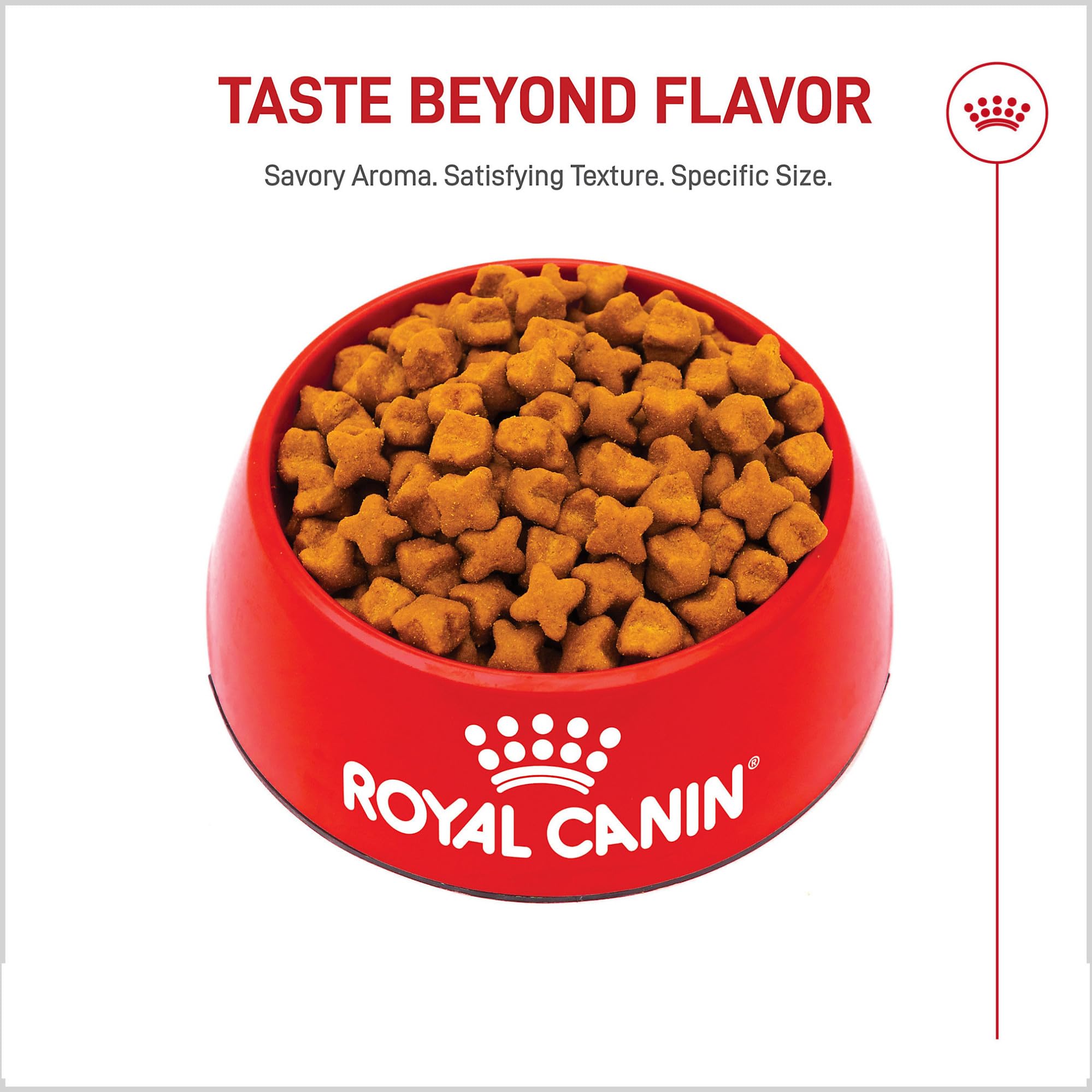 ROYAL CANIN croquetas en cuenco, muestra textura y palatabilidad óptima