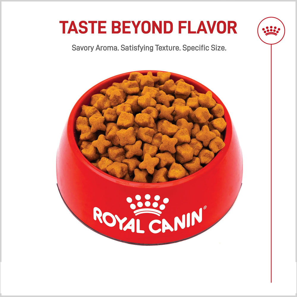 ROYAL CANIN croquetas en cuenco, muestra textura y palatabilidad óptima