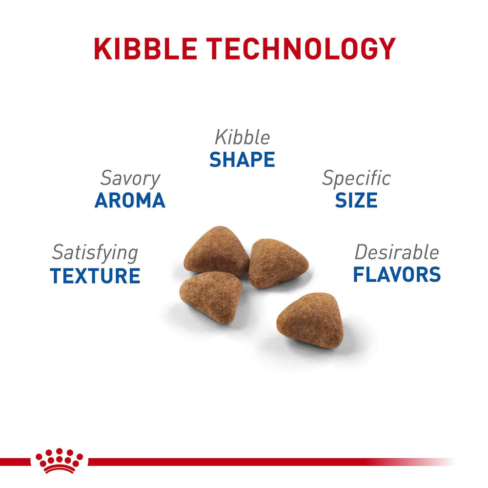 ROYAL CANIN detalle de croqueta y textura que favorece masticación saludable