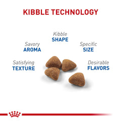 ROYAL CANIN detalle de croqueta y textura que favorece masticación saludable
