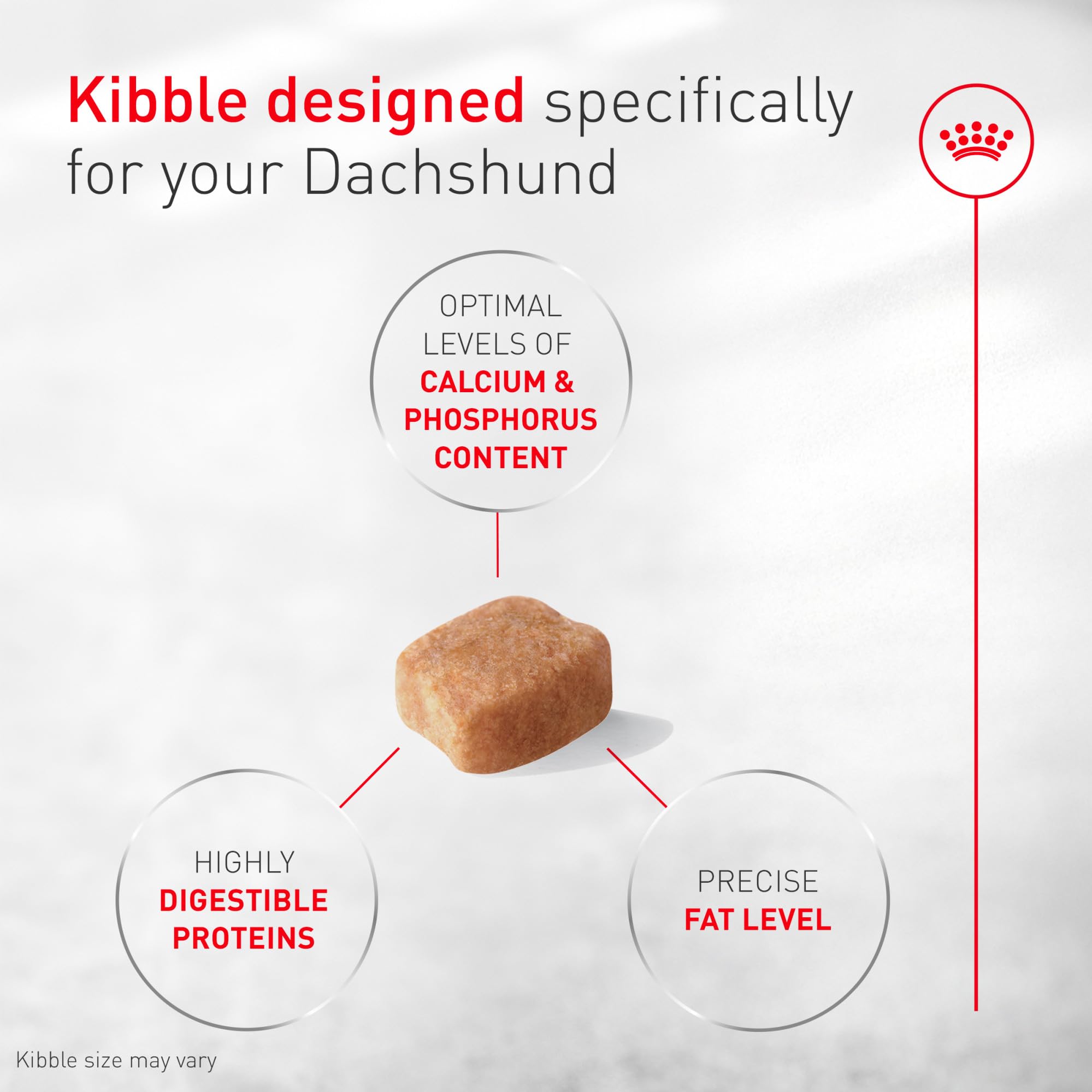 ROYAL CANIN croqueta diseñada para hocico de Dachshund y fácil sujeción