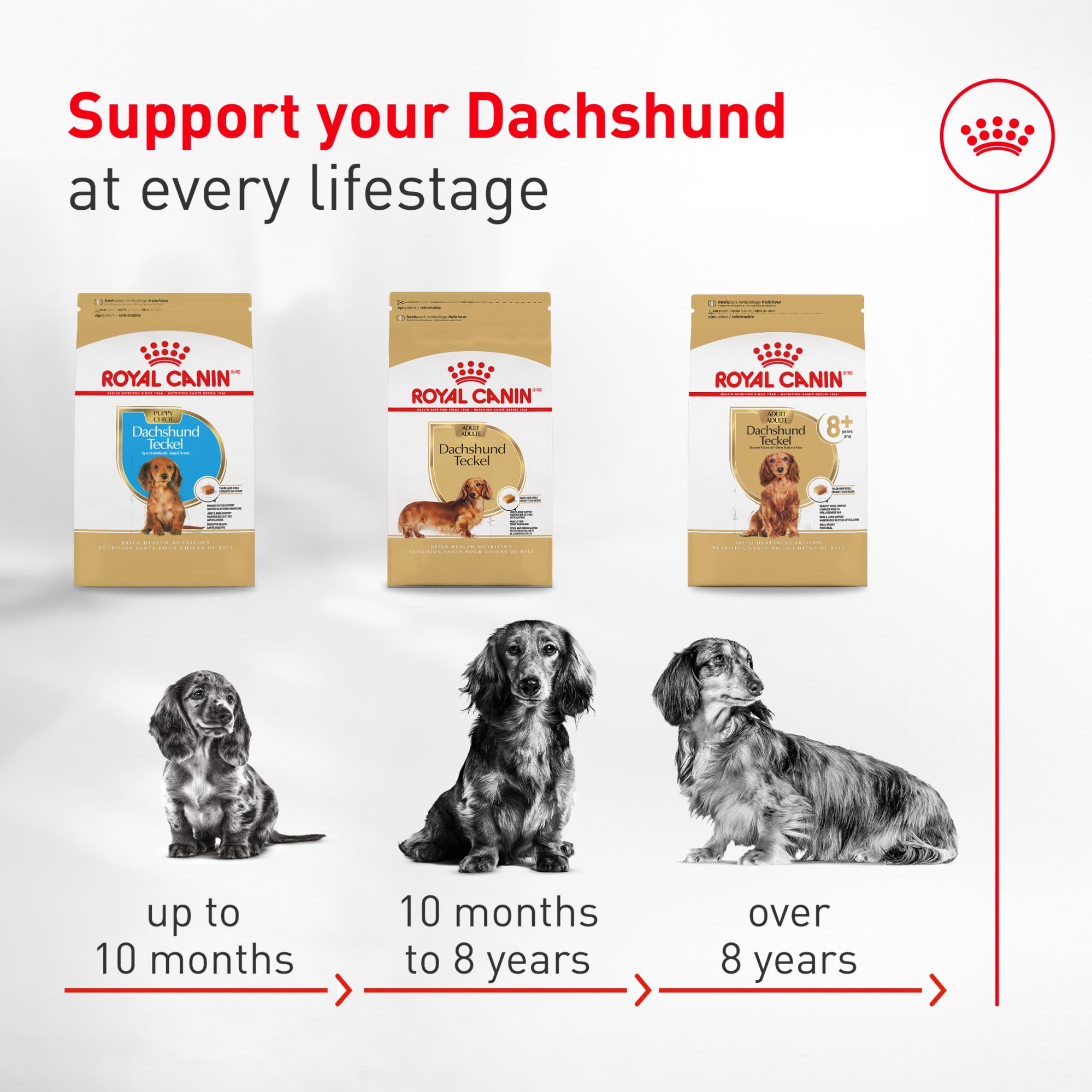 ROYAL CANIN etiqueta de ingredientes mostrando nutrientes clave para huesos