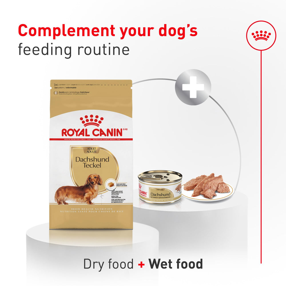 ROYAL CANIN comparación de tamaño del saco de 10 lb para valorar la compra