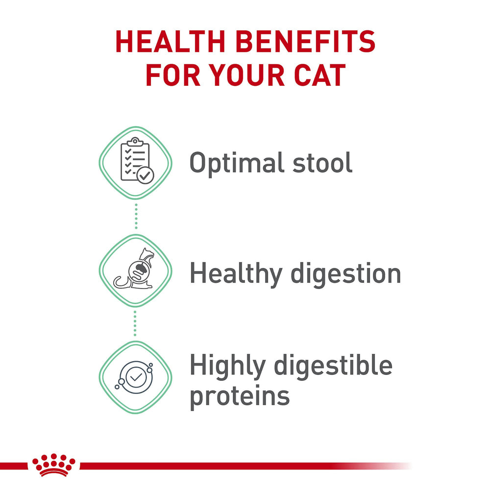 ROYAL CANIN pienso servido en bol listo para que el gato coma