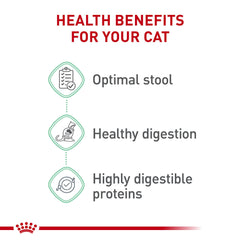 ROYAL CANIN pienso servido en bol listo para que el gato coma
