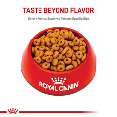 ROYAL CANIN detalle de croqueta en forma de anillo que promueve masticar