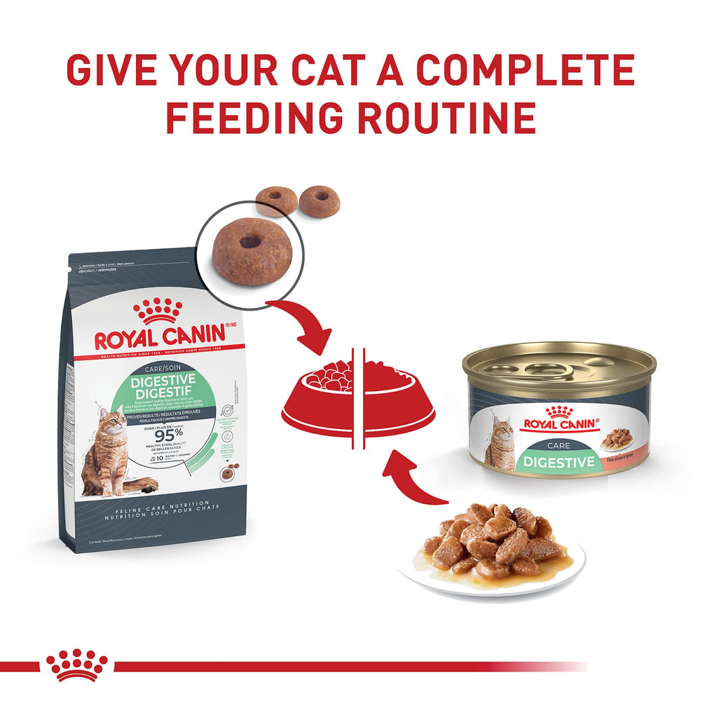 ROYAL CANIN gato olfateando pienso servido por la mano del dueño