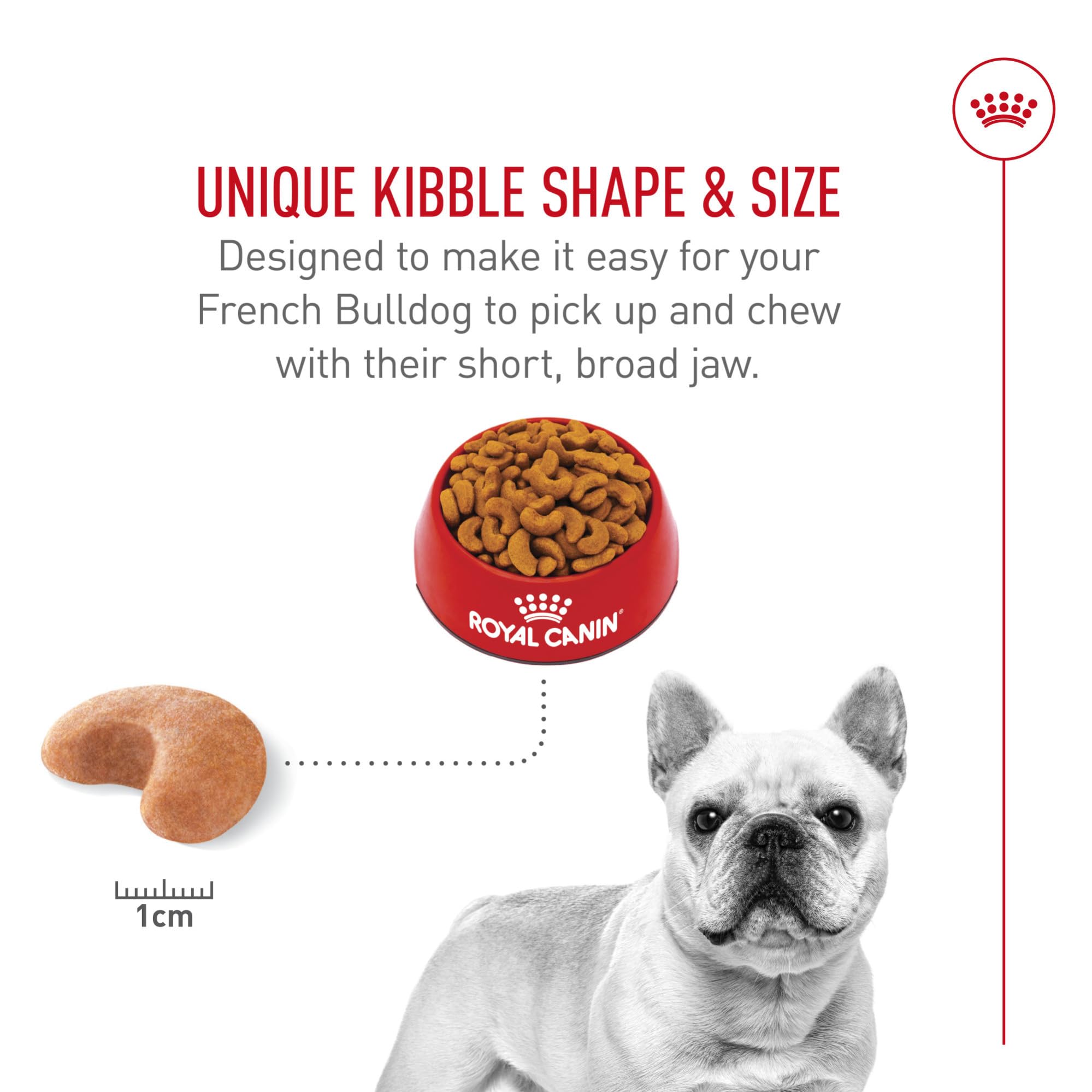 ROYAL CANIN alimento servido en plato con bulldog francés comiendo feliz