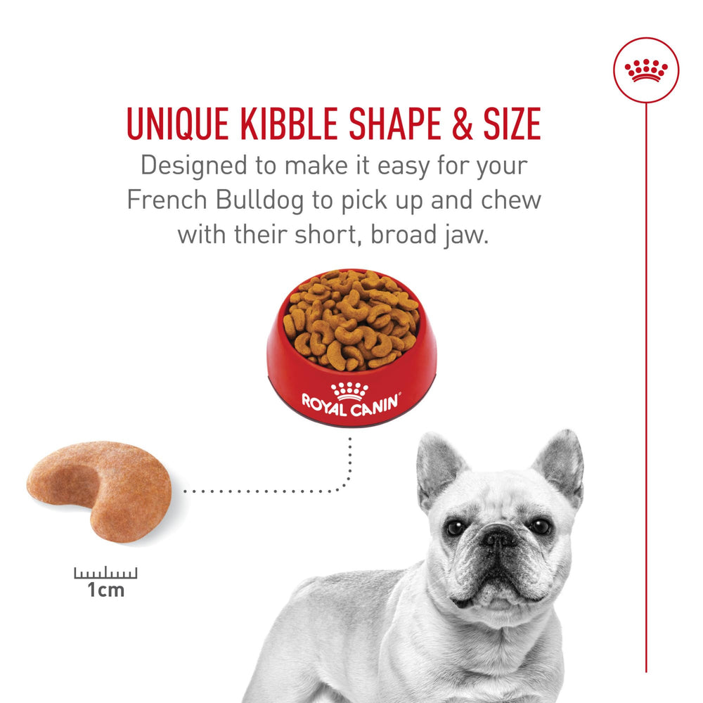 ROYAL CANIN alimento servido en plato con bulldog francés comiendo feliz