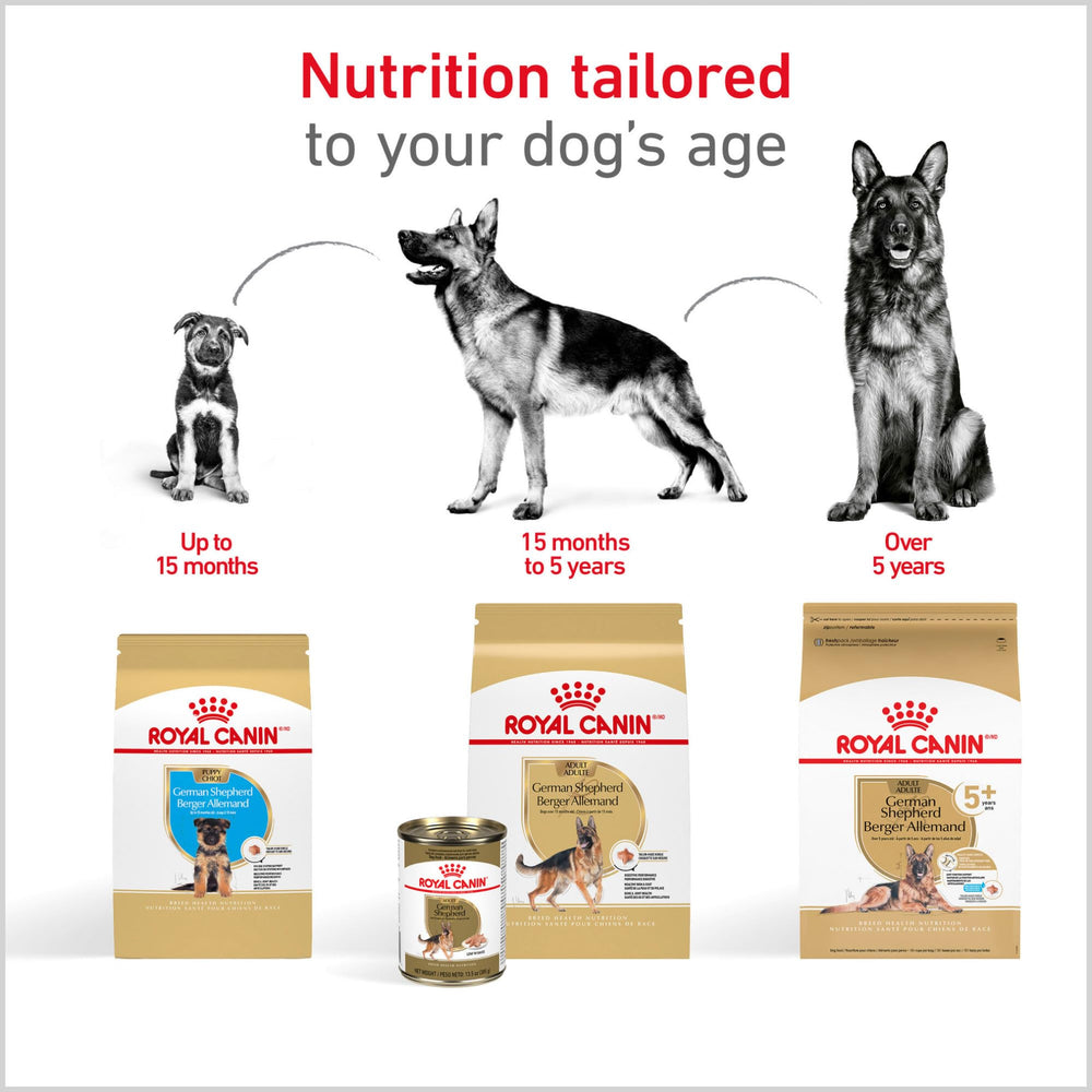 ROYAL CANIN etiqueta de ingredientes detallados para confianza y transparencia