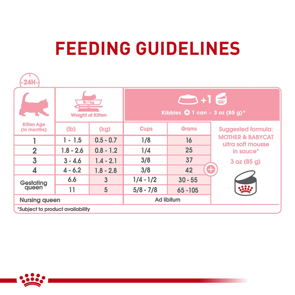 Royal Canin gata lactando con latas, soporte nutricional para madre