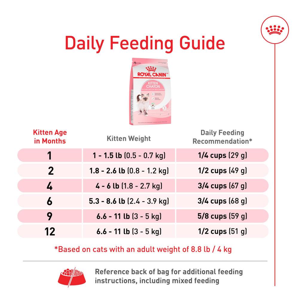 Royal Canin gatito comiendo del plato mostrando aceptación y energía saludable