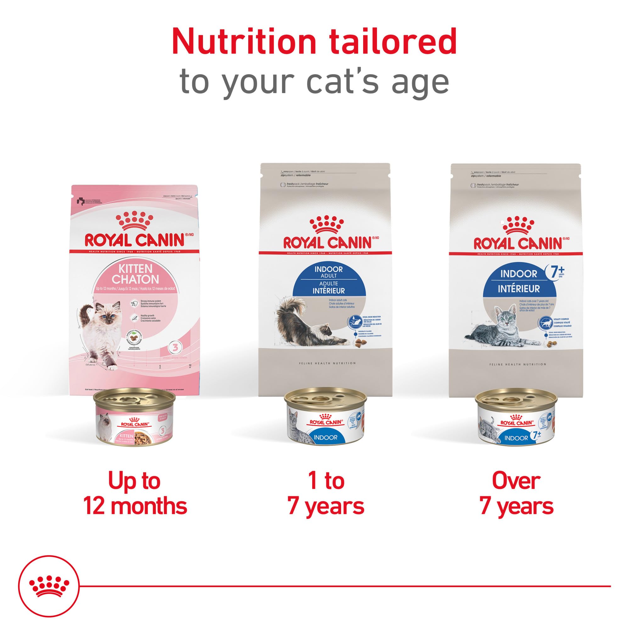 ROYAL CANIN gato comiendo en interior que ilustra aceptación y bienestar