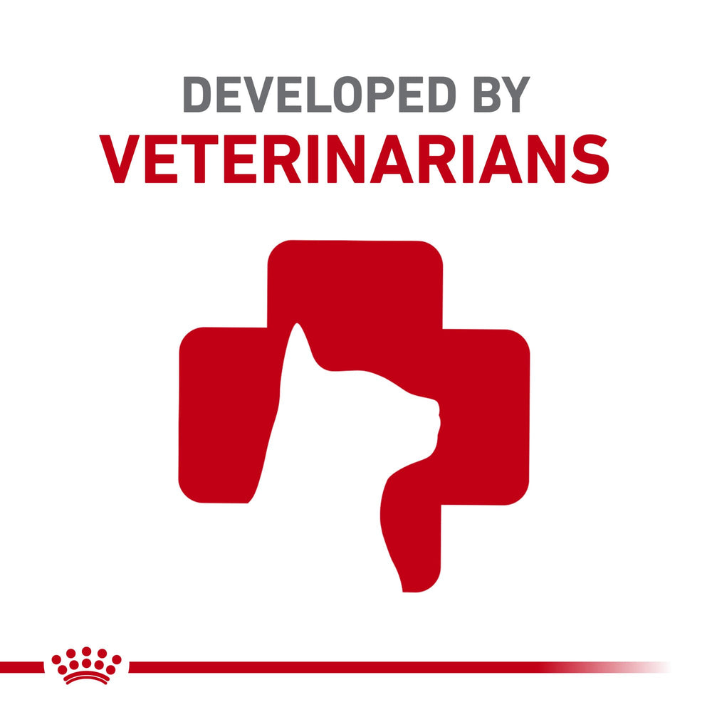 ROYAL CANIN comparación tamaño de croqueta para control de raciones