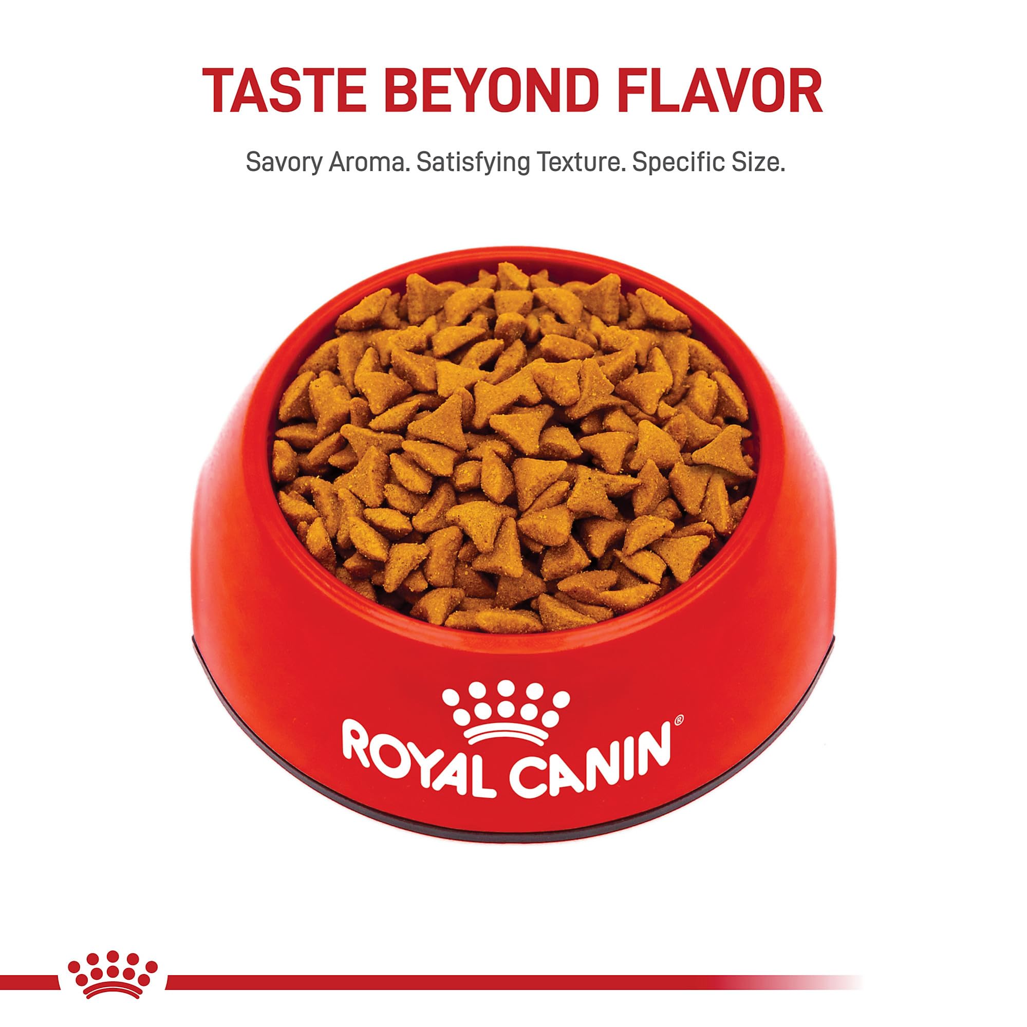 ROYAL CANIN gato comiendo Hairball Care mostrando buena palatabilidad