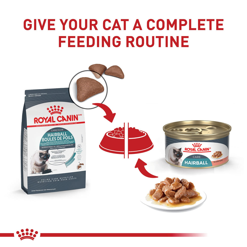 ROYAL CANIN mezcla de pienso seco y lata Hairball Care para aceptación