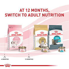 ROYAL CANIN primer plano textura suave del loaf fácil de masticar para gatitos
