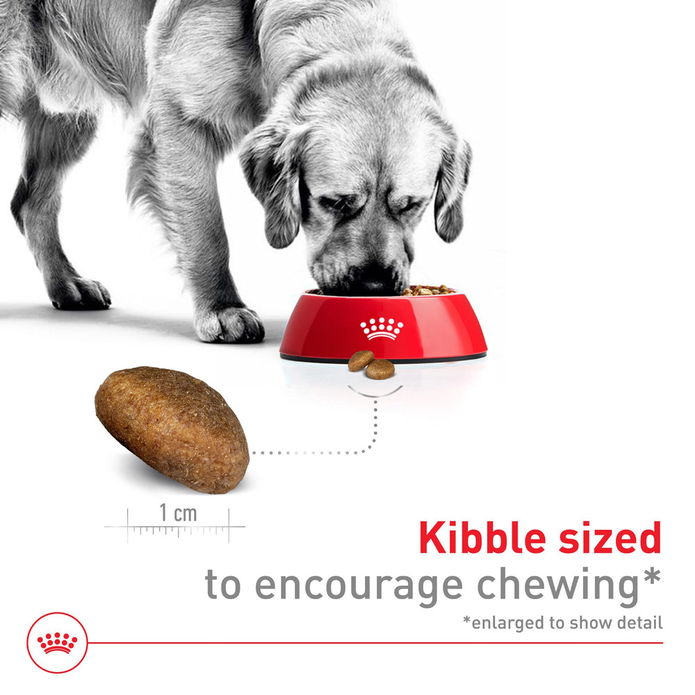 ROYAL CANIN comparación de tamaño de croqueta para raciones precisas