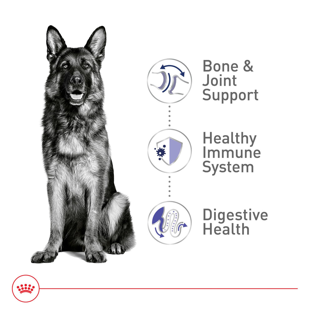 ROYAL CANIN etiqueta con ingredientes clave y control de calidad