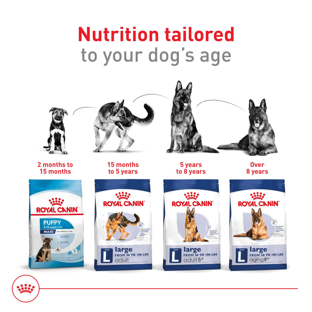 ROYAL CANIN mezcla de comida húmeda y seca para más palatabilidad