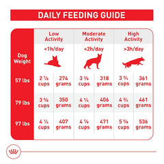 ROYAL CANIN plato servido para apetito y aceptación alta