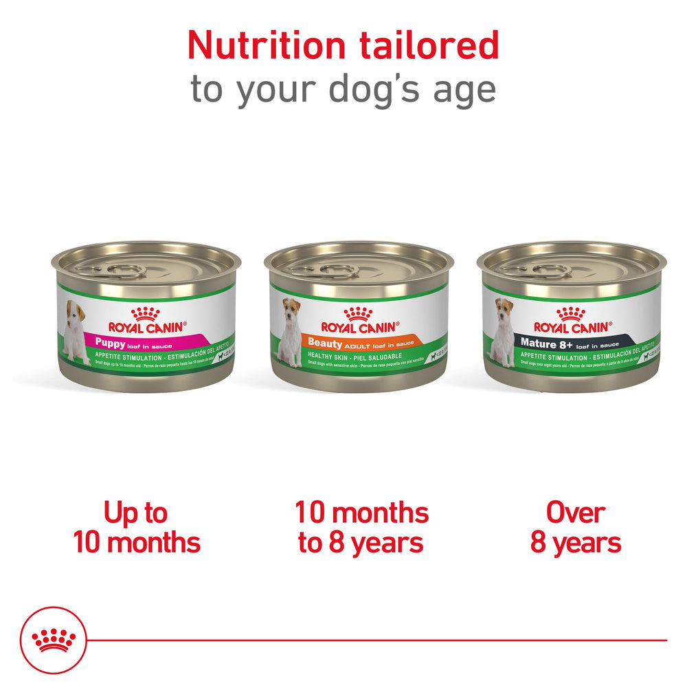 ROYAL CANIN etiqueta nutricional legible con ingredientes clave