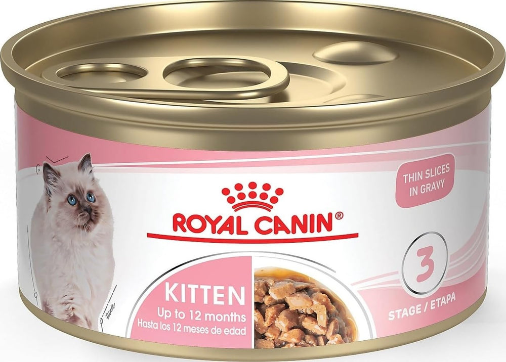 ROYAL CANIN lata frente mostrando diseño y conveniencia