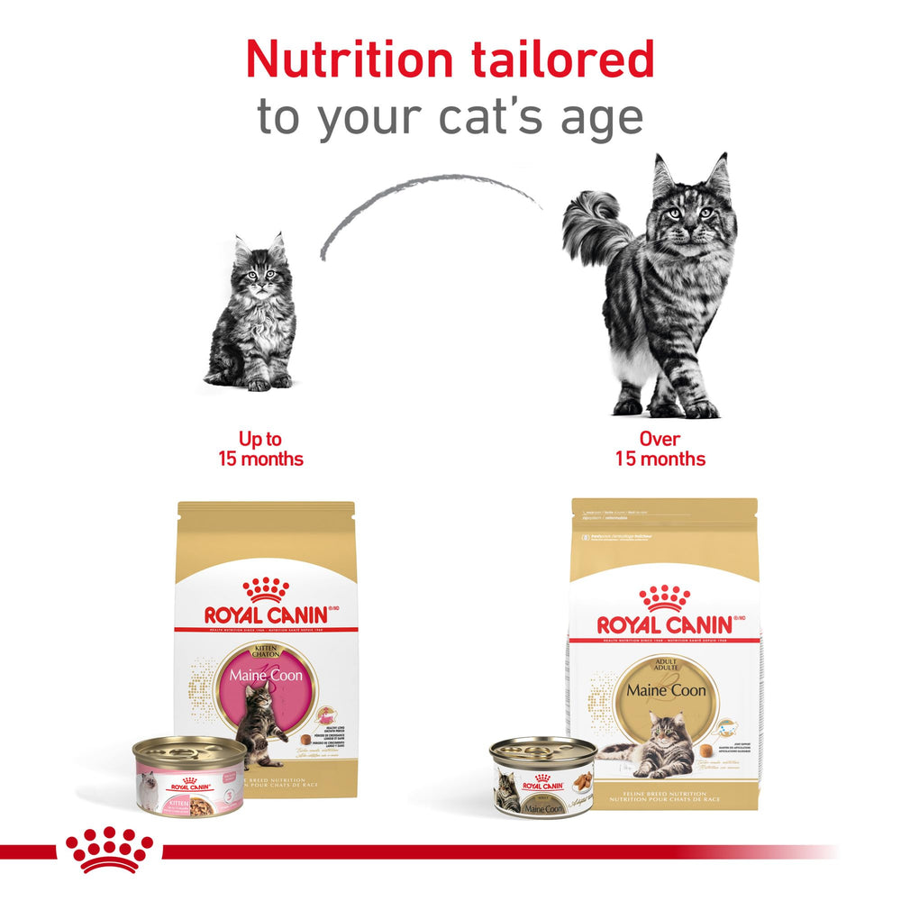 ROYAL CANIN etiqueta de ingredientes clara que resalta nutrientes clave y antioxidantes