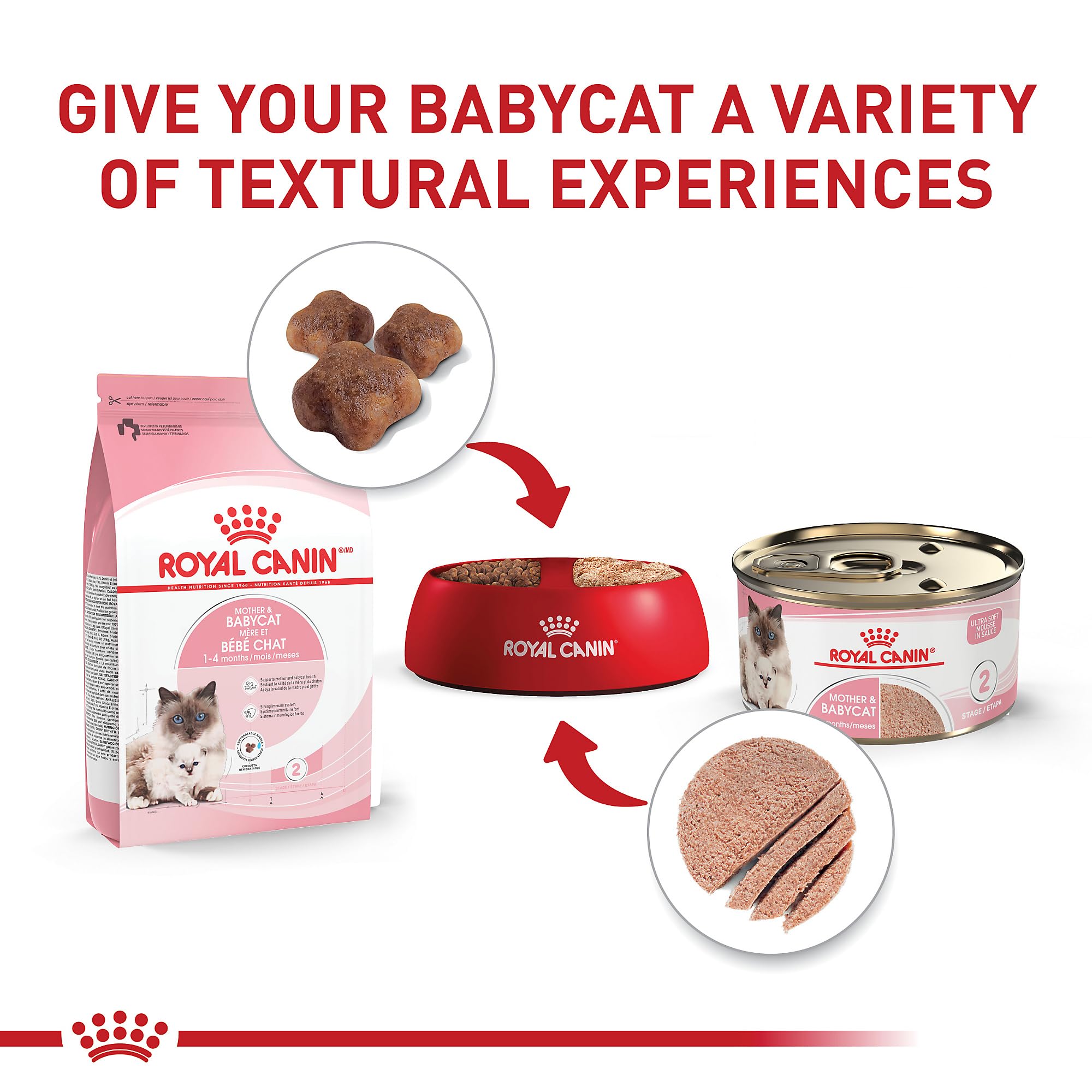 ROYAL CANIN queen cat nursing kittens beside food, supporting lactation needs