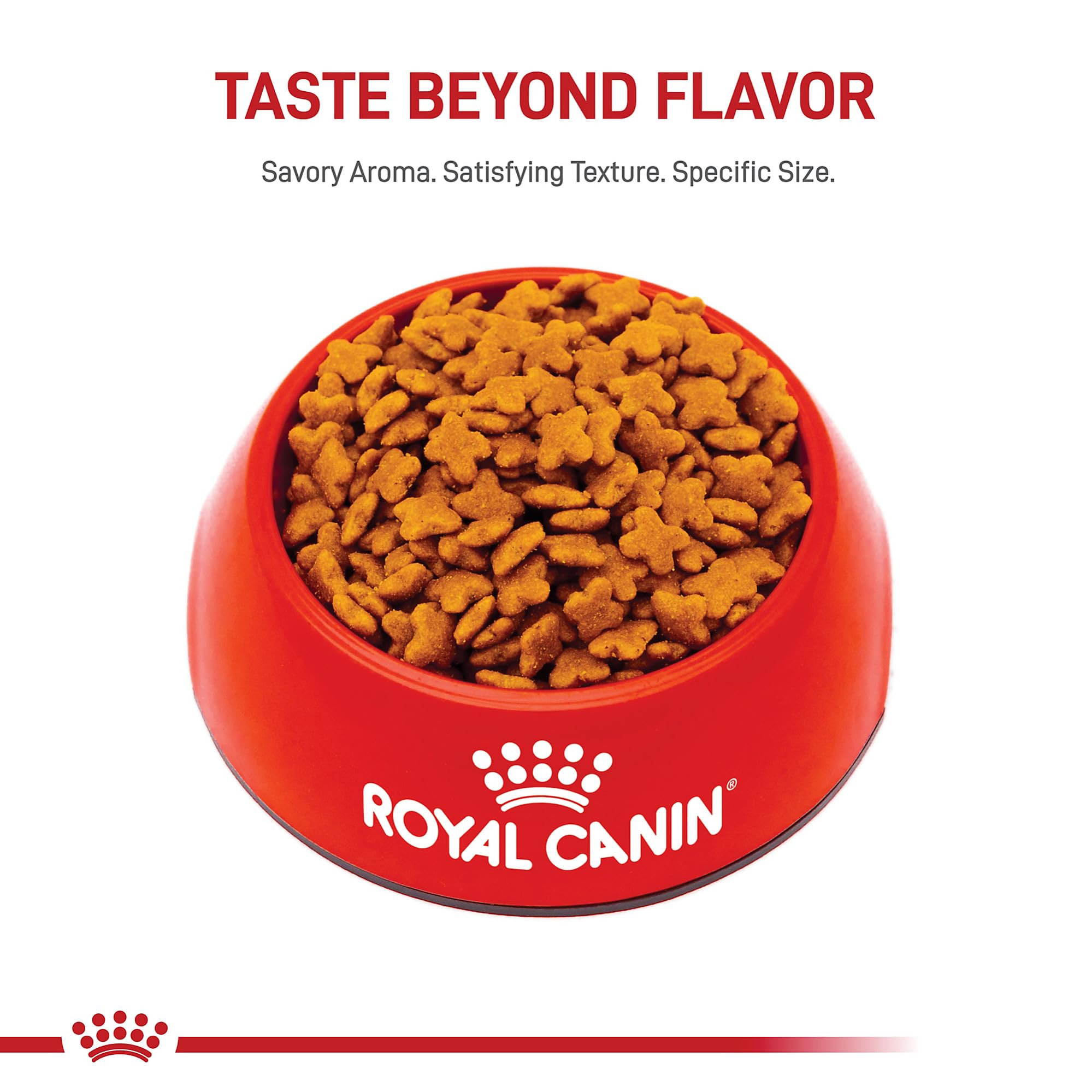 ROYAL CANIN primer plano de croqueta pequeña que facilita la masticación