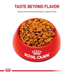 ROYAL CANIN primer plano de croqueta pequeña que facilita la masticación