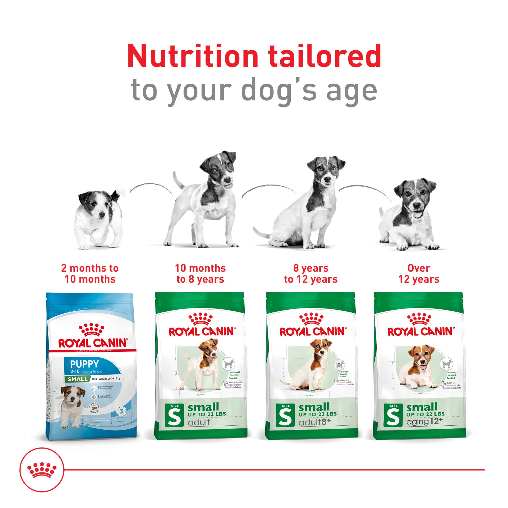 ROYAL CANIN croquetas mezcladas con alimento húmedo para mayor hidratación