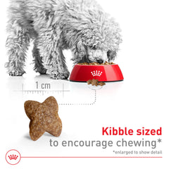 ROYAL CANIN textura crujiente de croqueta que favorece limpieza dental