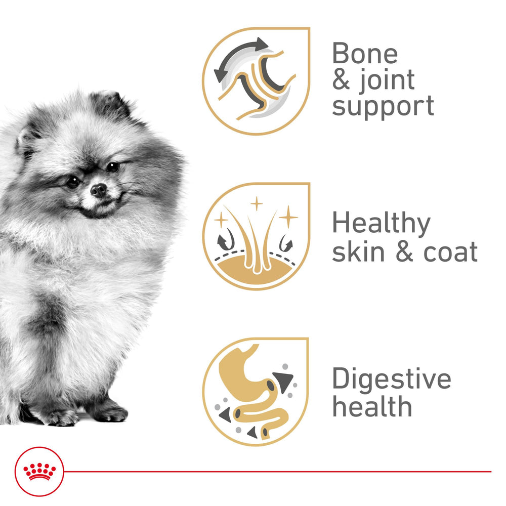 ROYAL CANIN croqueta detalle apta para mandíbulas pequeñas