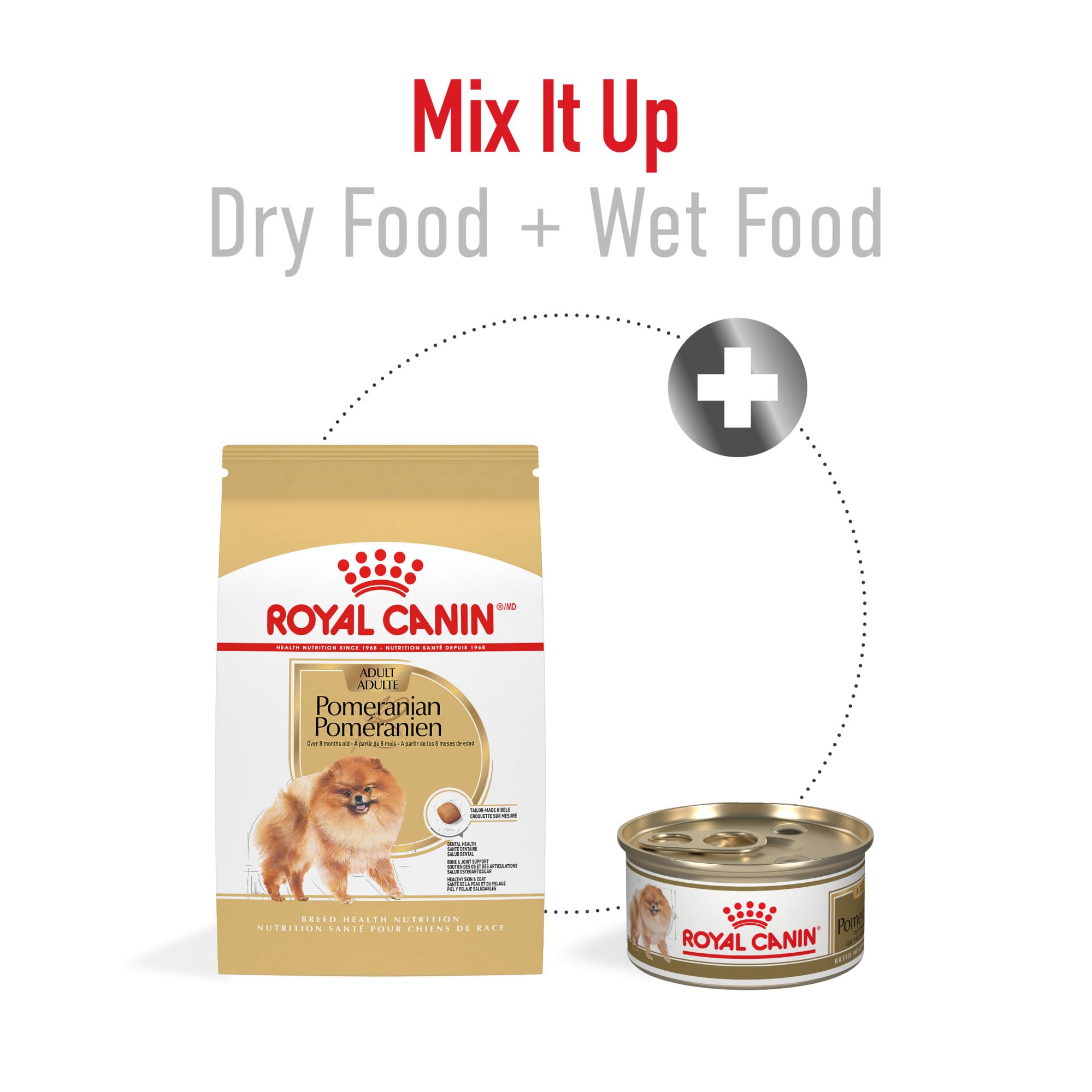 ROYAL CANIN perro Pomerania comiendo y disfrutando la fórmula