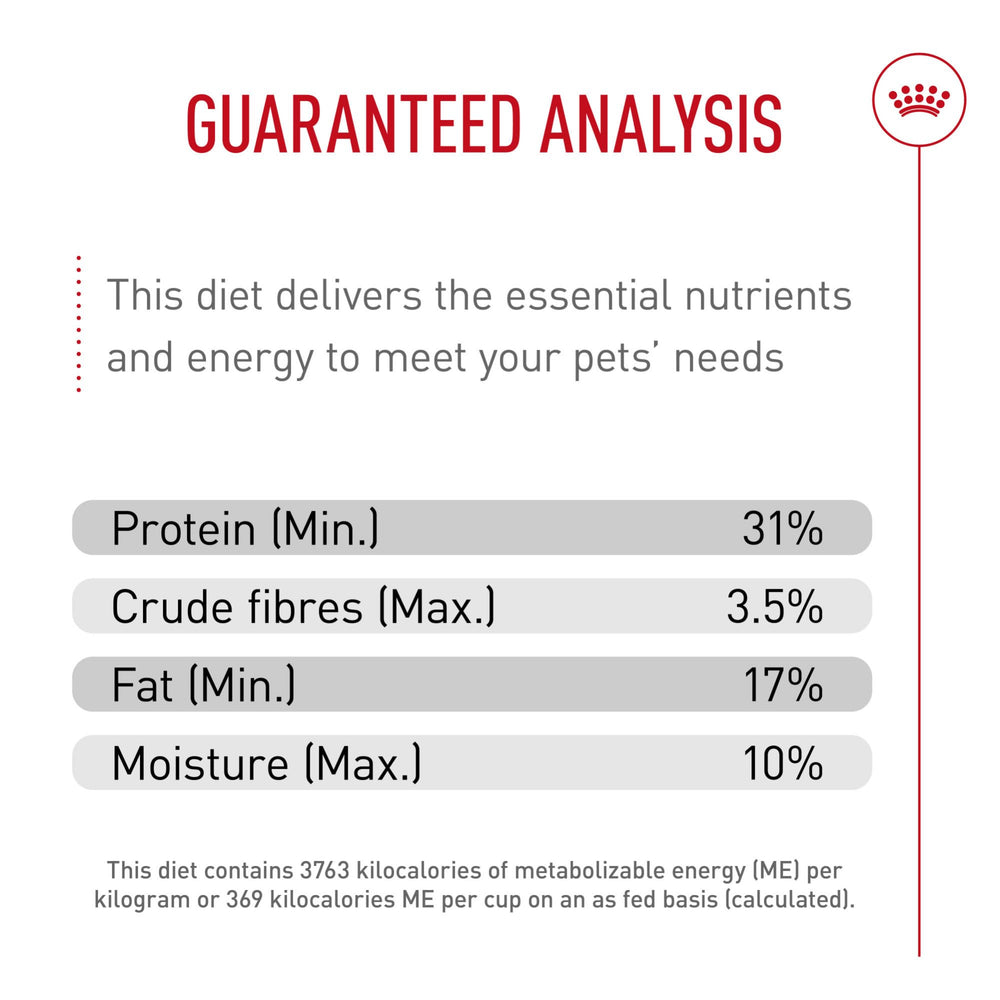 ROYAL CANIN bol con porción medida para guiar raciones diarias recomendadas
