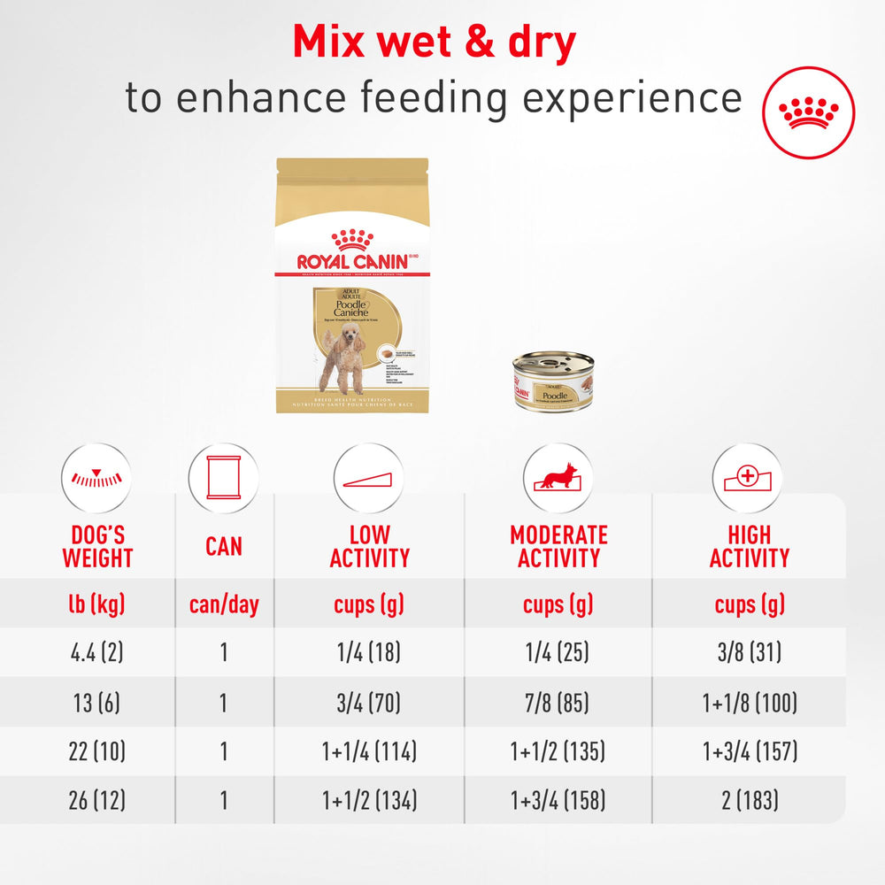ROYAL CANIN lateral del embalaje con instrucciones de alimentación visibles
