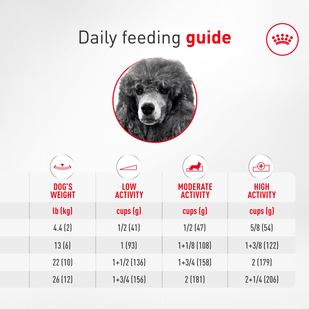 ROYAL CANIN empaque lateral con instrucciones y beneficios visibles