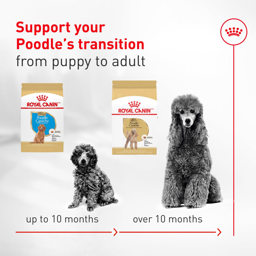 ROYAL CANIN bolsa 10 lb para almacenamiento práctico y raciones controladas