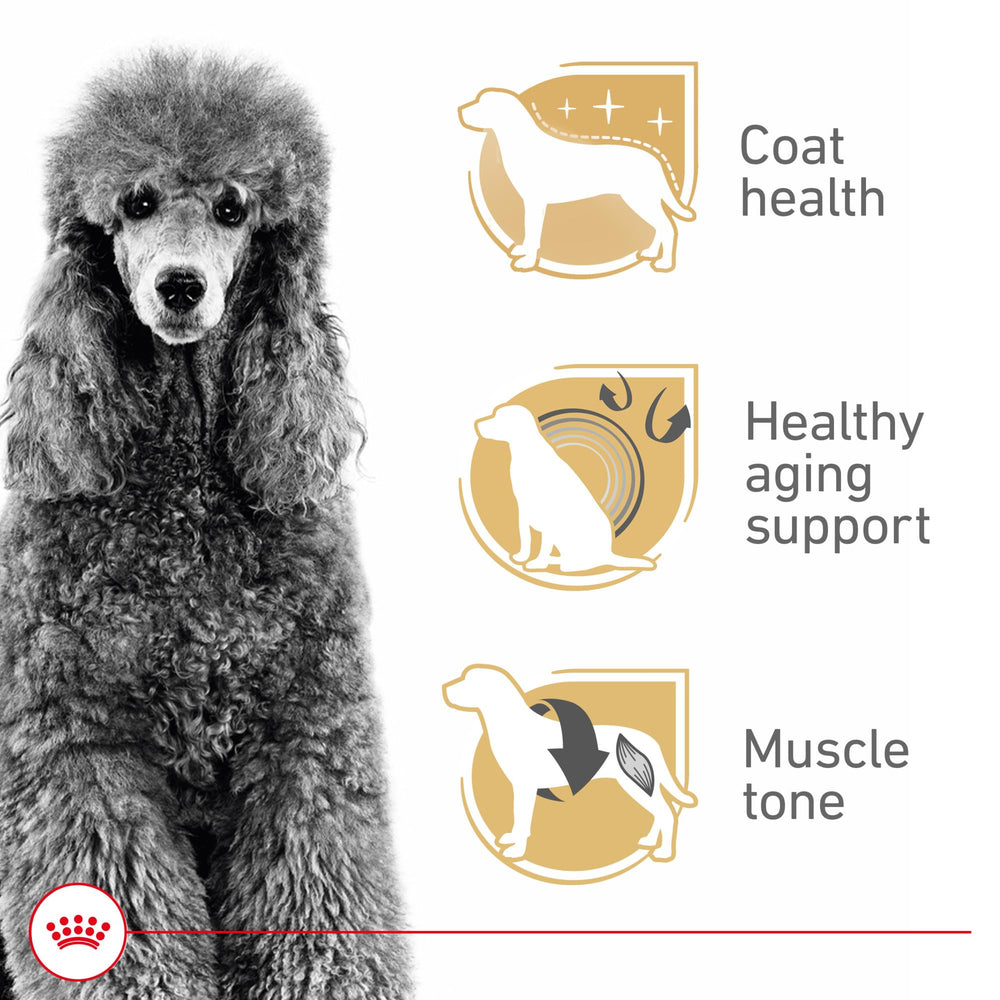 ROYAL CANIN textura de croqueta que facilita la sujeción y masticación