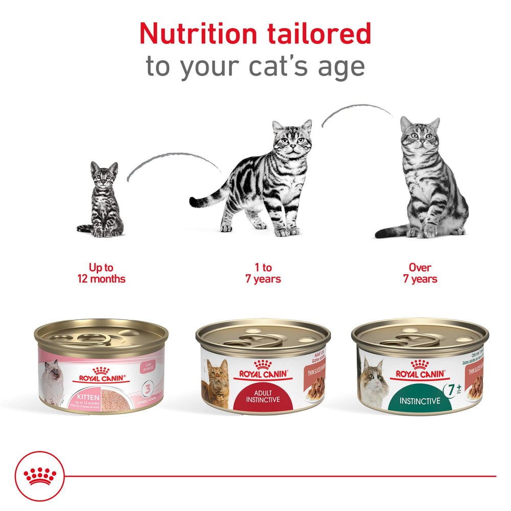 ROYAL CANIN latas junto a regla para comparar tamaño de porción