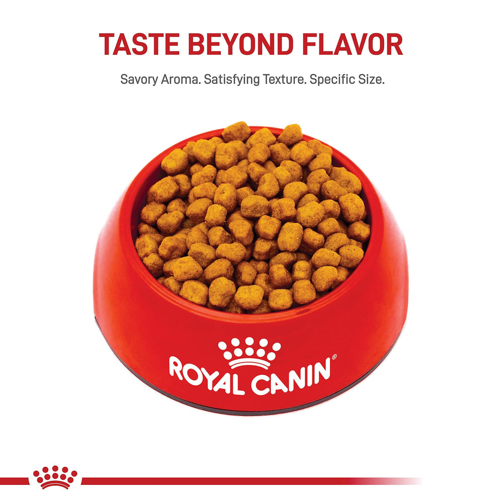 ROYAL CANIN primer plano de la croqueta que facilita la masticación