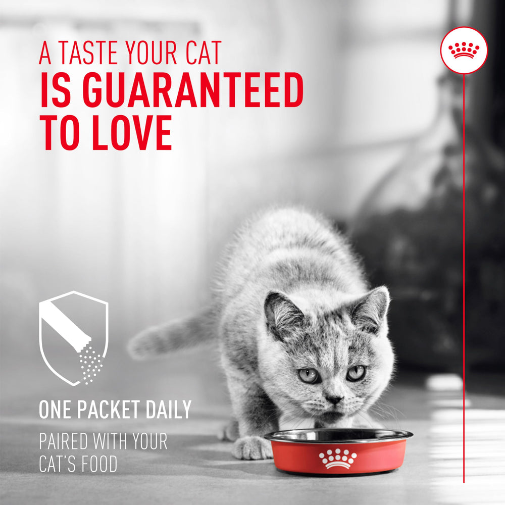 Royal Canin polvo espolvoreado sobre comida húmeda facilitando la aceptación