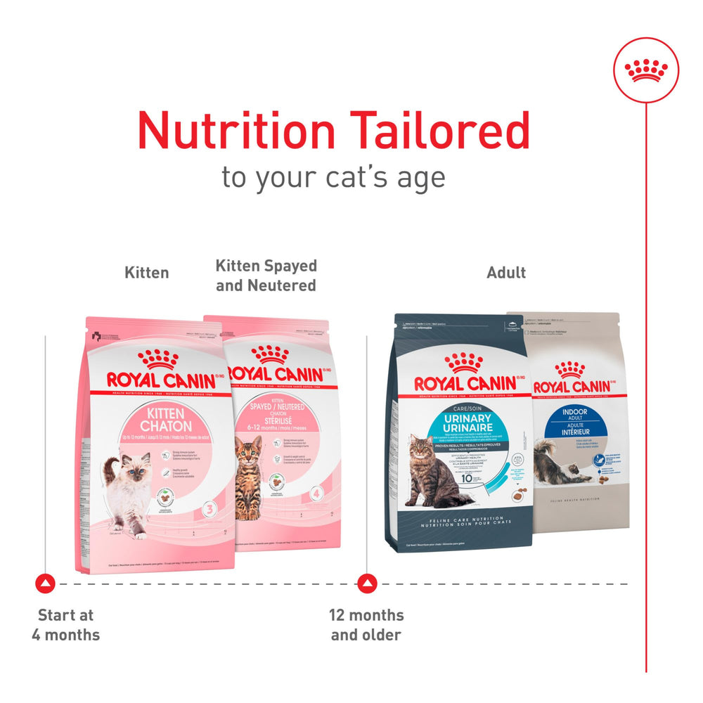 Royal Canin croqueta junto a moneda mostrando escala y tamaño para boca pequeña
