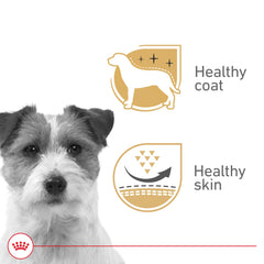ROYAL CANIN textura del loaf en salsa en primer plano, apetencia visible